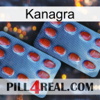 Kanagra 05
